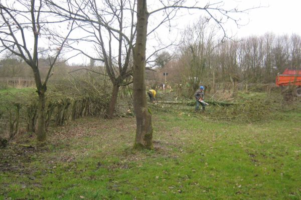 Werkzaamheden Landschapsbeheer Mergelland