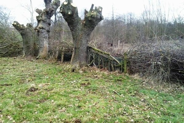 Werkzaamheden Landschapsbeheer Mergelland