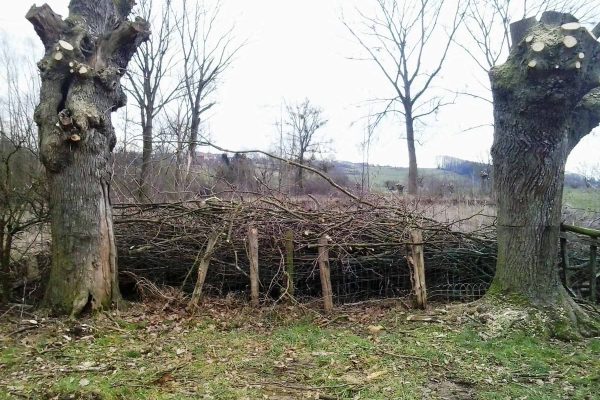 Werkzaamheden Landschapsbeheer Mergelland