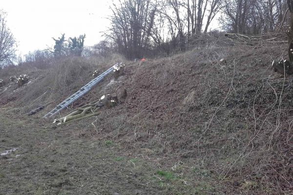 Werkzaamheden Landschapsbeheer Mergelland