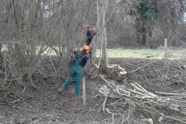 Werkzaamheden Landschapsbeheer Mergelland