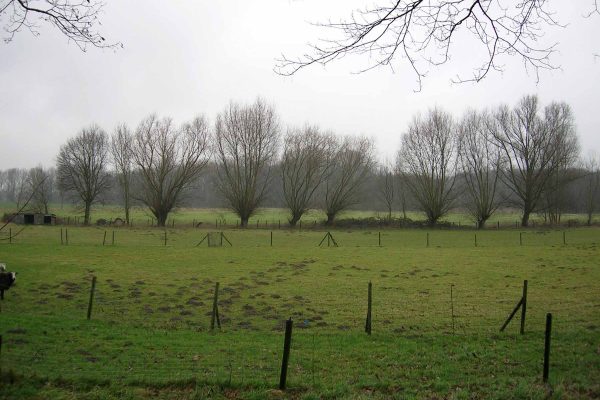 Werkzaamheden Landschapsbeheer Mergelland