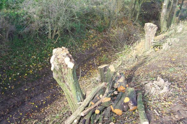 Werkzaamheden Landschapsbeheer Mergelland