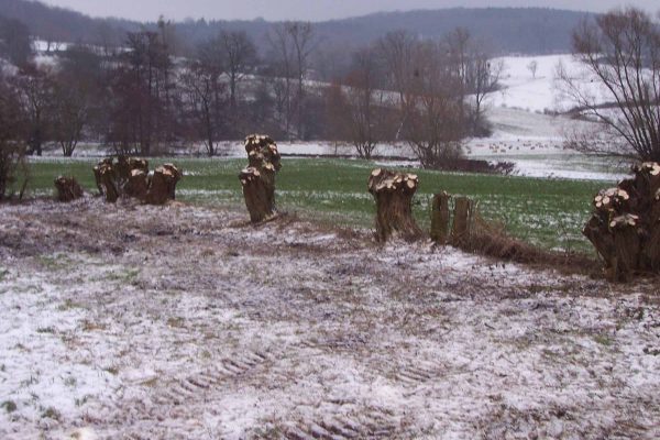 Werkzaamheden Landschapsbeheer Mergelland